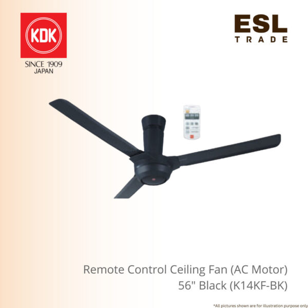 Ceiling Fan