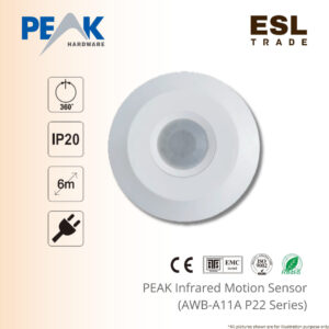motion sensor