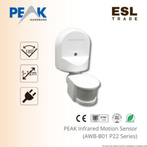 motion sensor