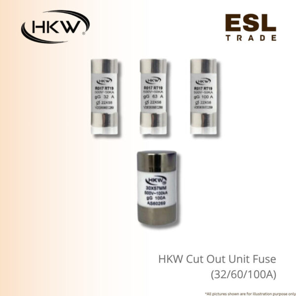 Cut Out Unit Fuse