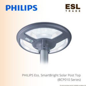 Solar Light