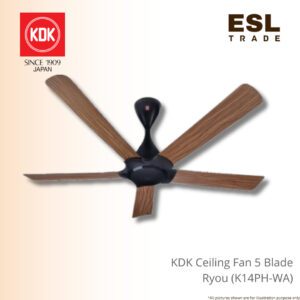 ceiling fan