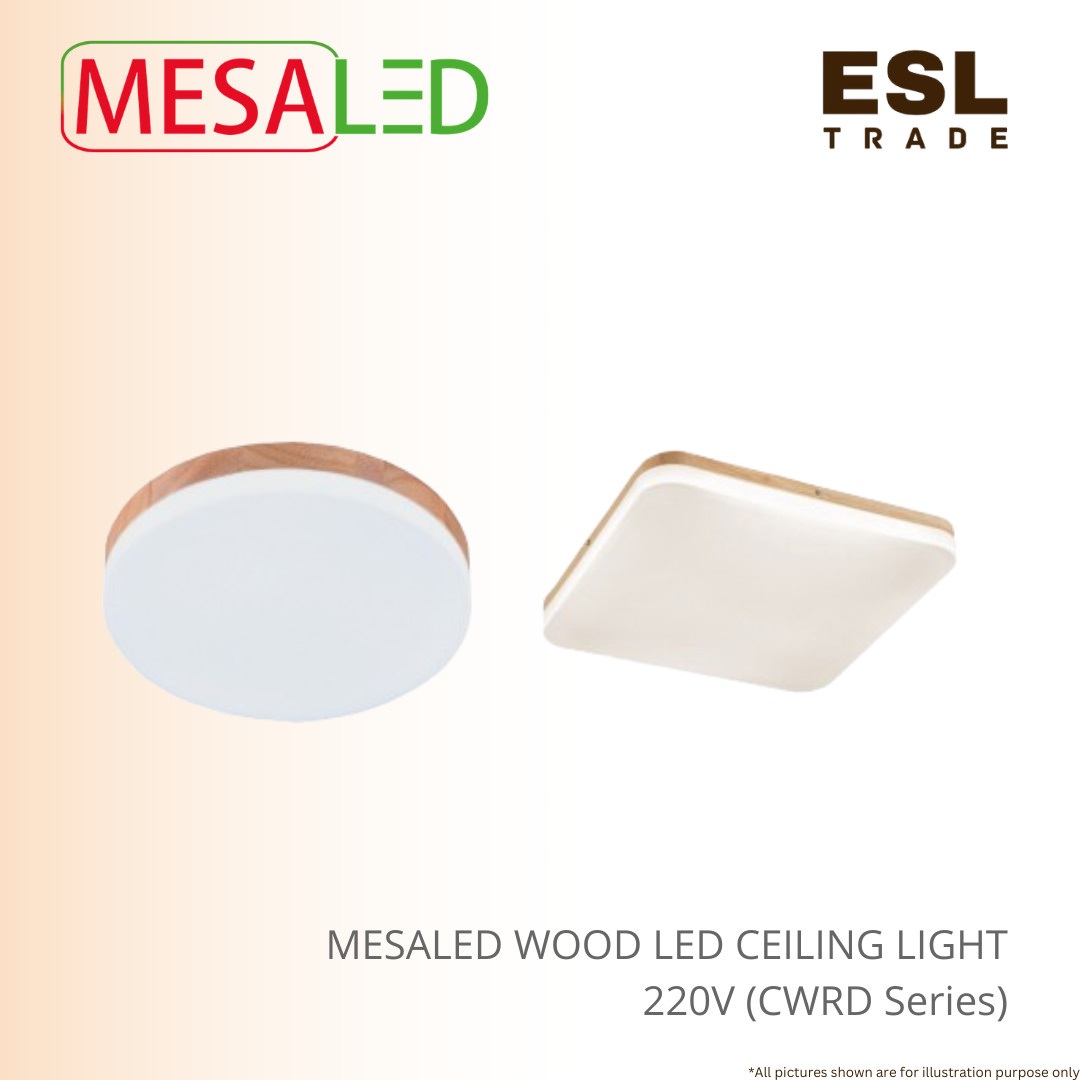 ceiling light