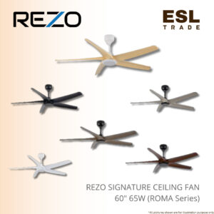 Ceiling fan