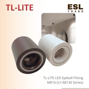 LED Eyeball Fitting
