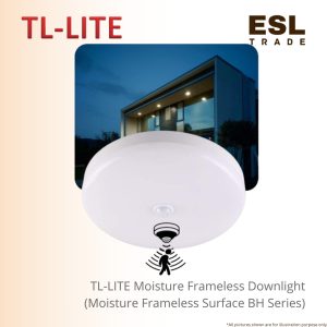 Surface Light