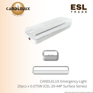 emergency light