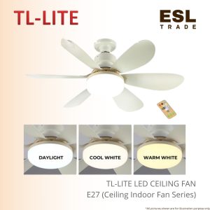 Ceiling Indoor Fan