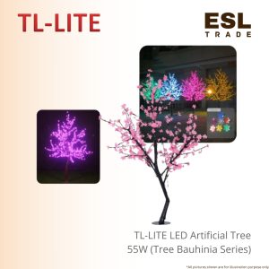 Tree Bauhinia