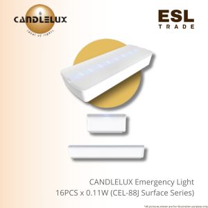 emergency light