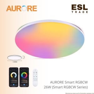 ceiling light