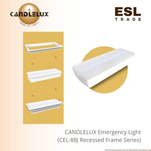 Emergency Light
