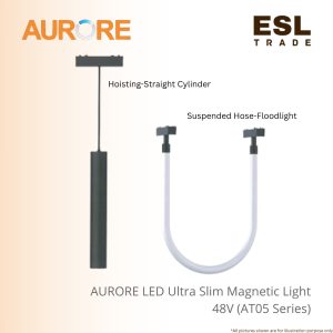 magnetic Light