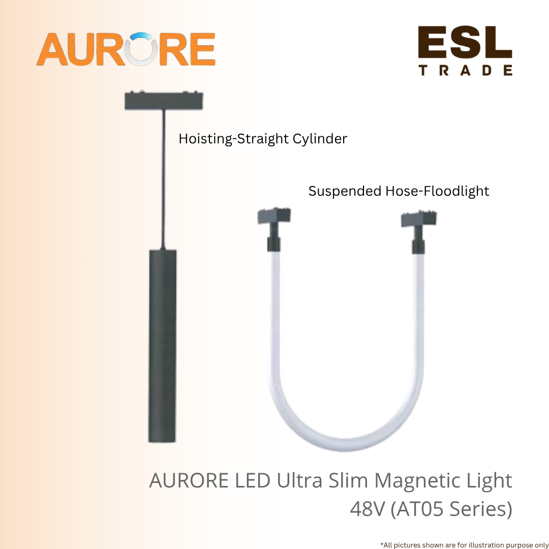 magnetic Light