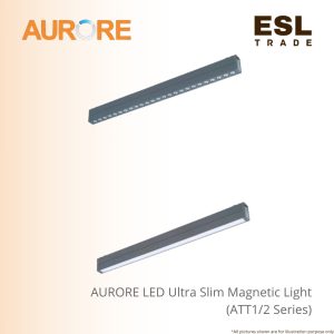 magnetic light