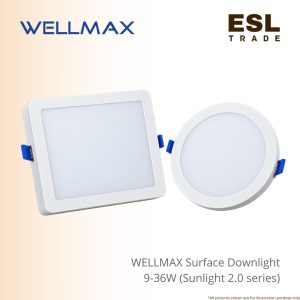 downlight