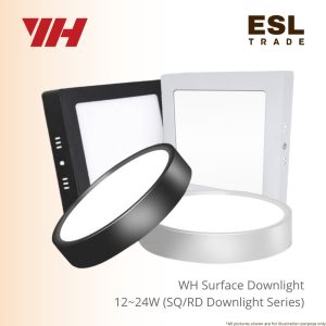 DOWNLIGHT
