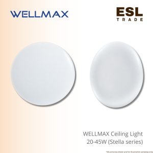 Ceiling Light