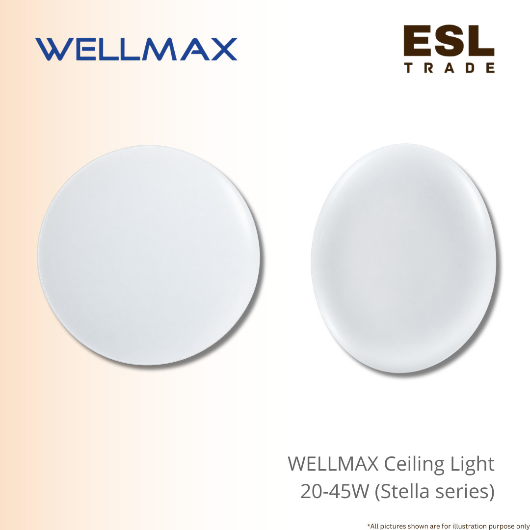 Ceiling Light