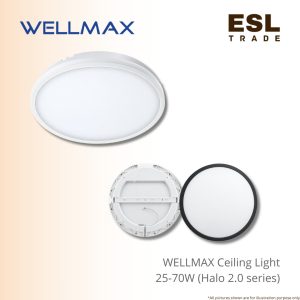 ceiling light
