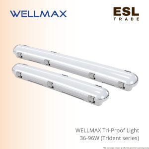 LIGHT