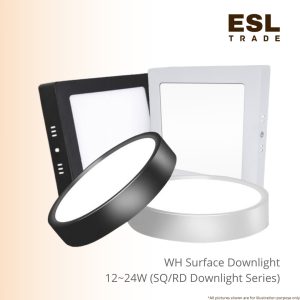 DOWNLIGHT